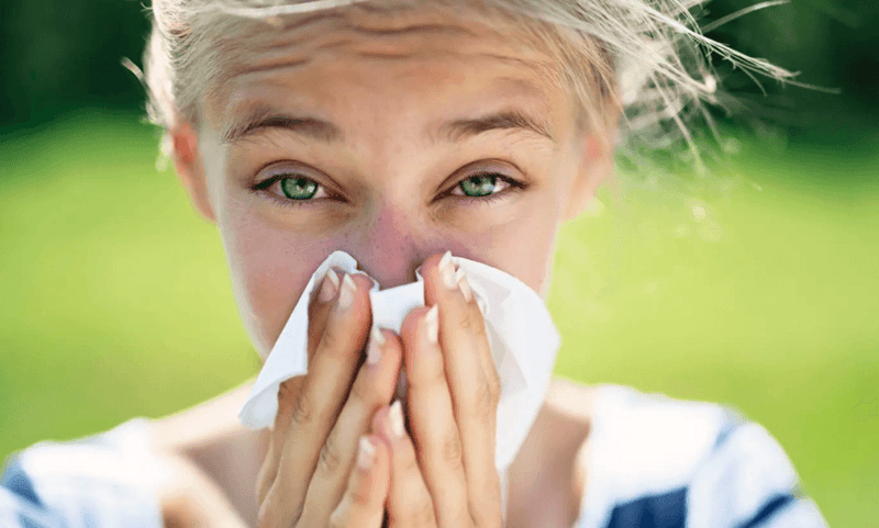 Four Ways to Fight Hay Fever Like a Pro - Cold Flu Symptoms and relief