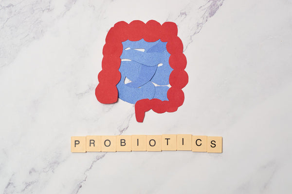 probiotics for better digestion