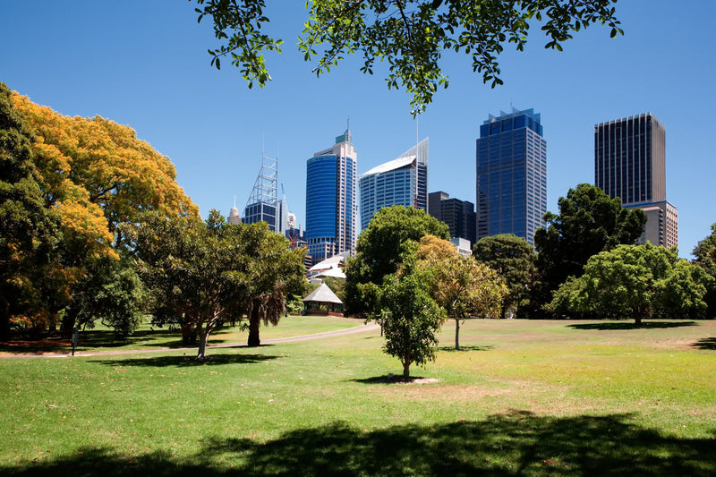 summer in Australia