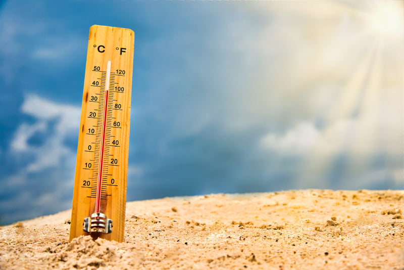 It’s Summer, So Let’s Talk Temperature